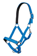 LICOL NEON STAR HKM
