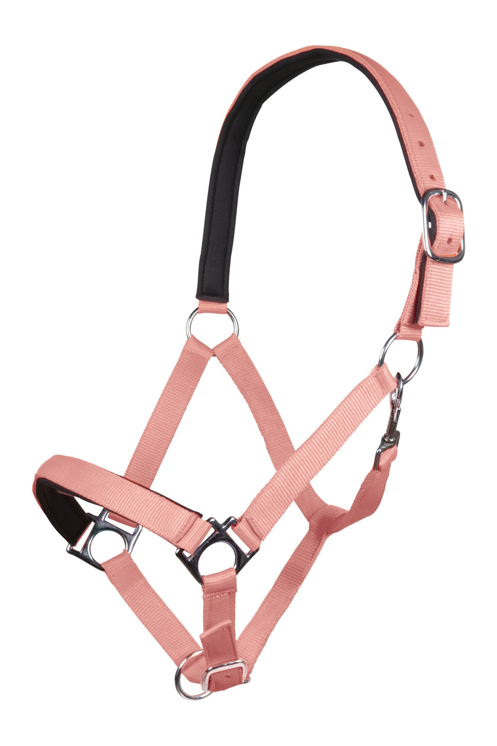 LICOL NEON STAR HKM