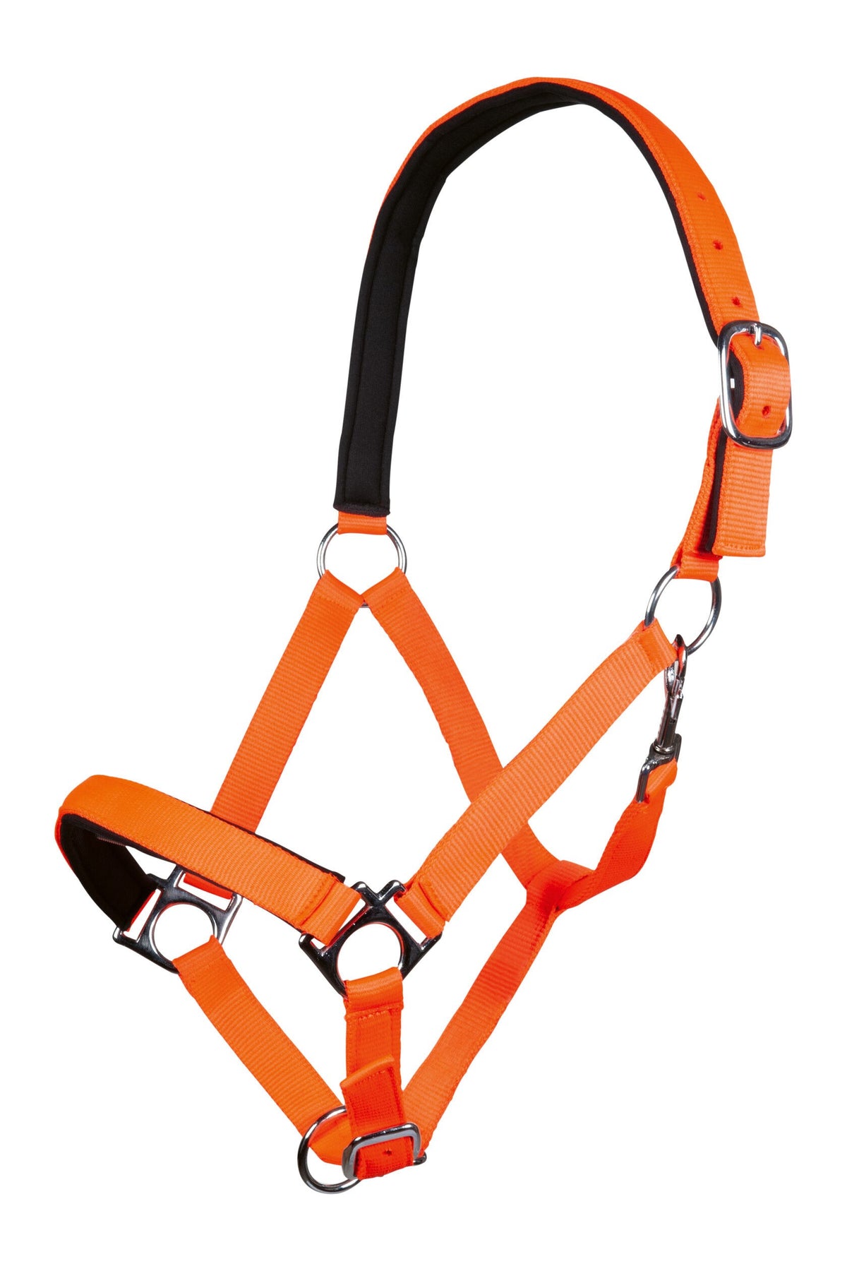 LICOL NEON STAR HKM