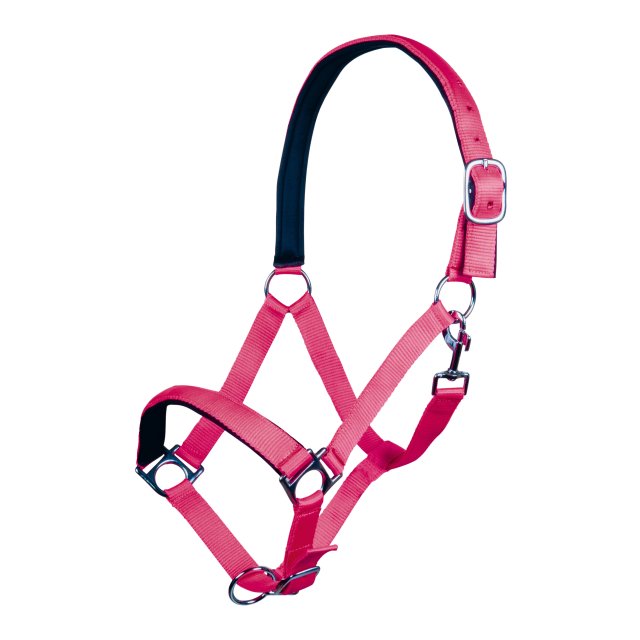 LICOL NEON STAR HKM