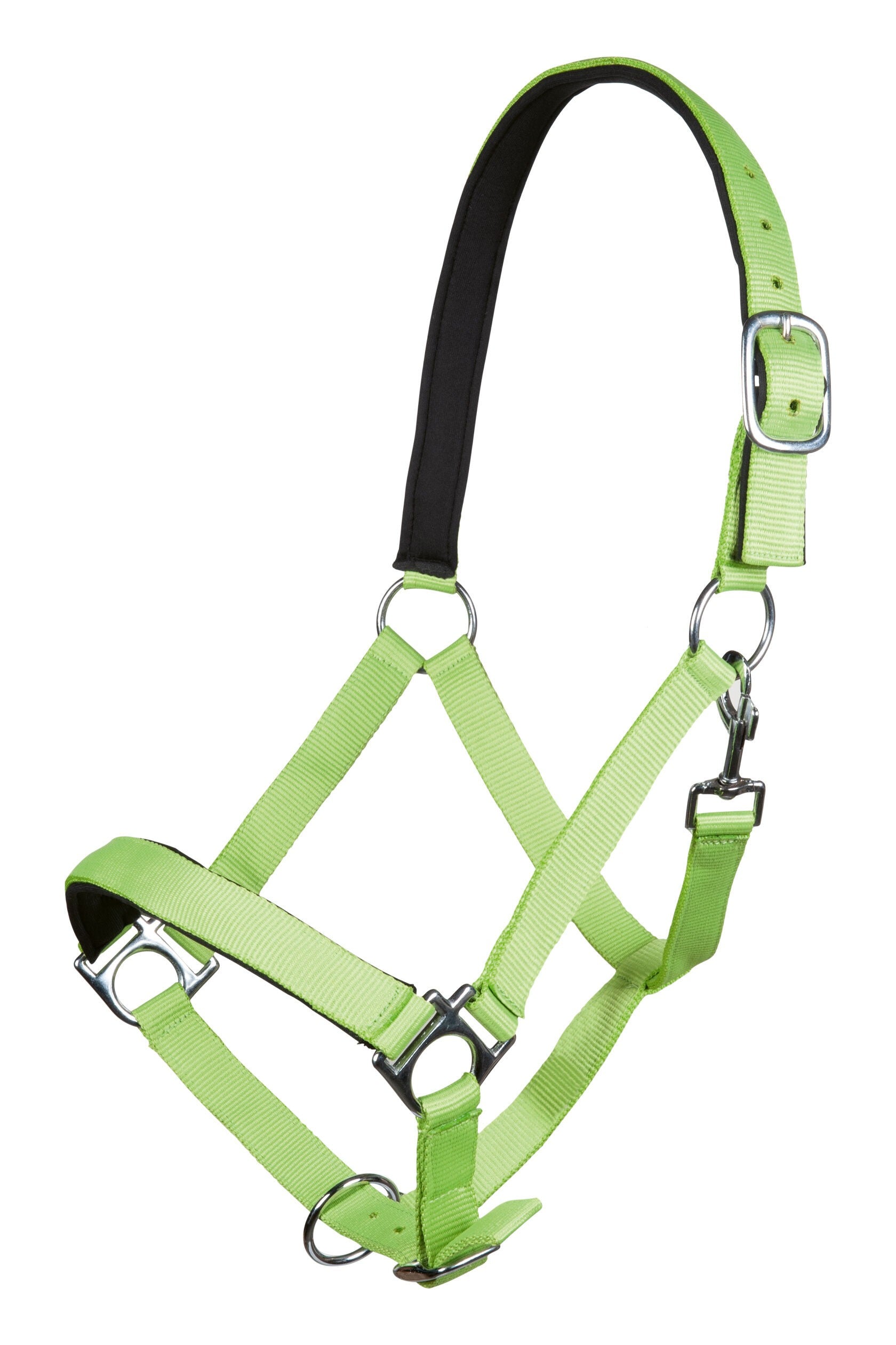 LICOL NEON STAR HKM