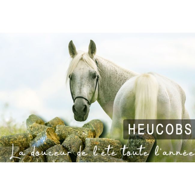 HEUCOBS BOUCHONS DE FOIN 20KG