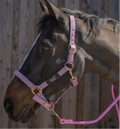 LICOLS A PAILLETTES CDG HORSE EQUIPMENT