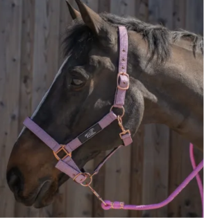 LICOLS A PAILLETTES CDG HORSE EQUIPMENT