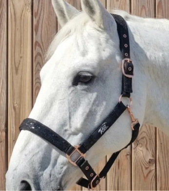 LICOLS A PAILLETTES CDG HORSE EQUIPMENT
